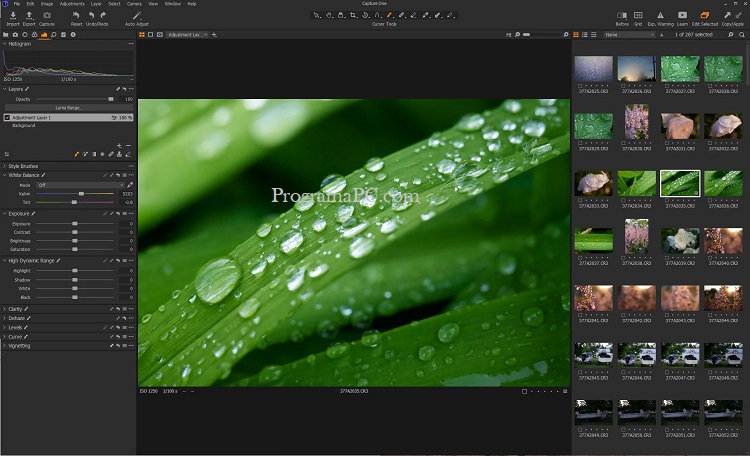 Capture One Pro Software de edición de fotos para procesar imagenes de forma profesional