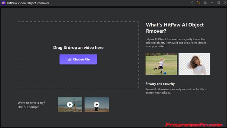 HitPaw Video Object Remover Crack