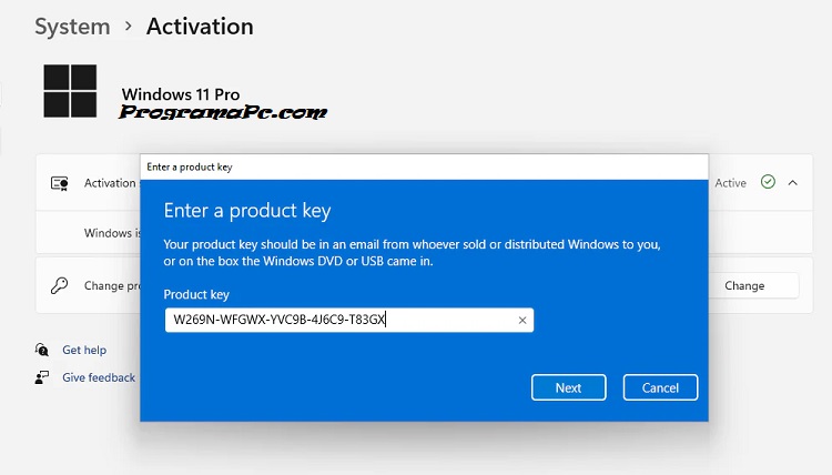 Windows 11 Pro Activator